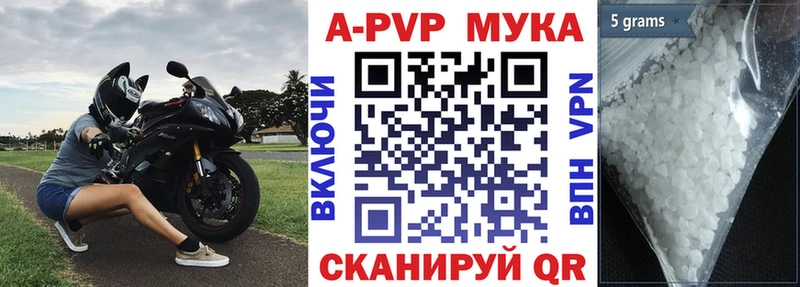 omg сайт  Нижний Тагил  А ПВП СК 