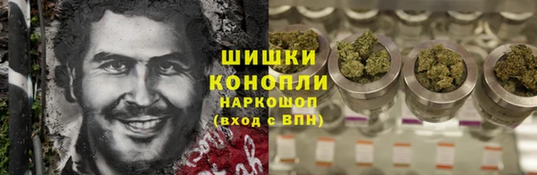 сатива Верея