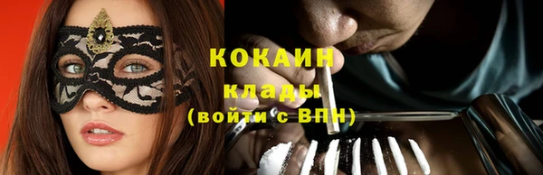 сатива Верея