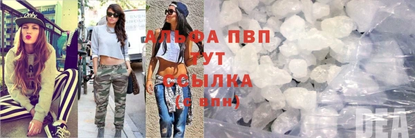 ПСИЛОЦИБИНОВЫЕ ГРИБЫ Верхний Тагил