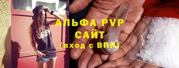 сатива Верея