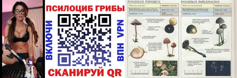 Псилоцибиновые грибы Magic Shrooms  хочу наркоту  Нижний Тагил 